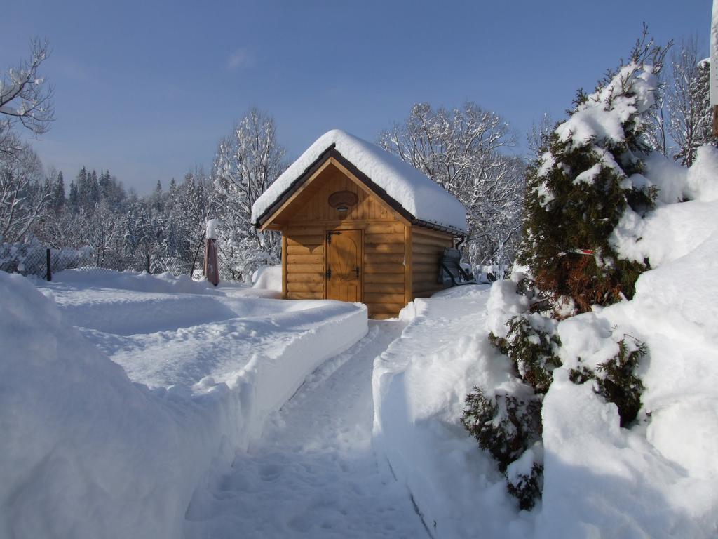 Wynajem Pokoi ,,Gory Tatry Wypoczynek "Pawel Kuczynski Czarna Góra Kamer foto